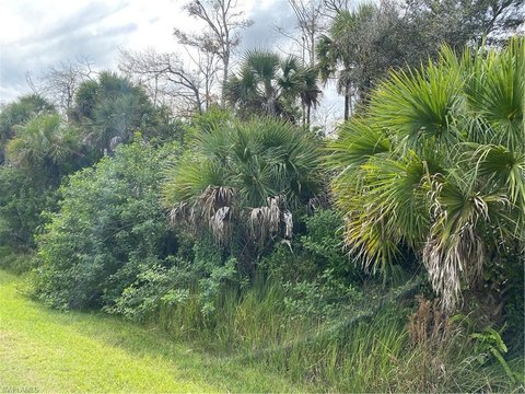 LAND - NAPLES, FL