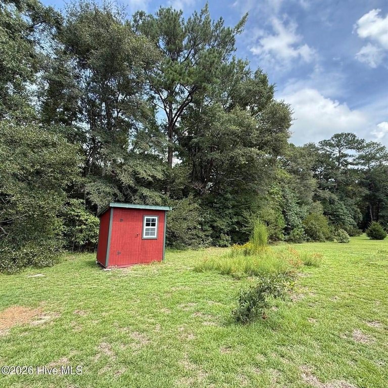 Picture 8