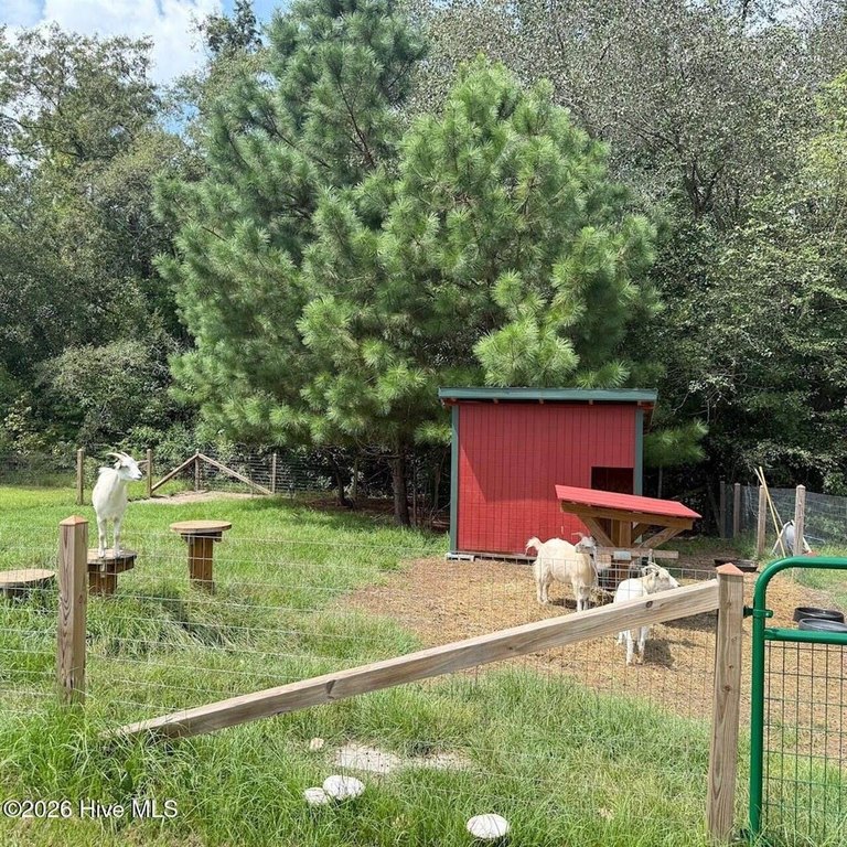 Picture 14