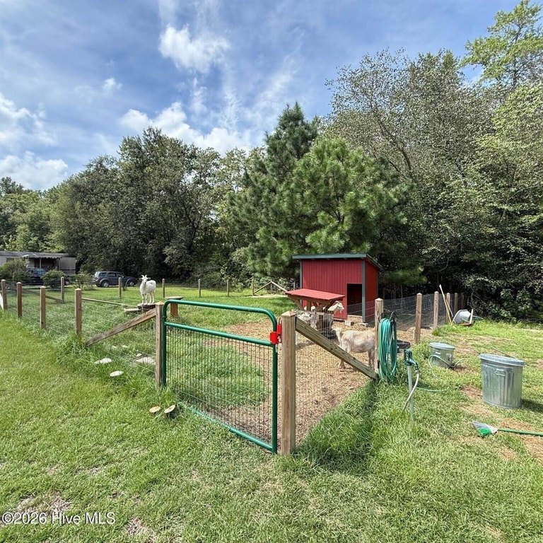 Picture 11