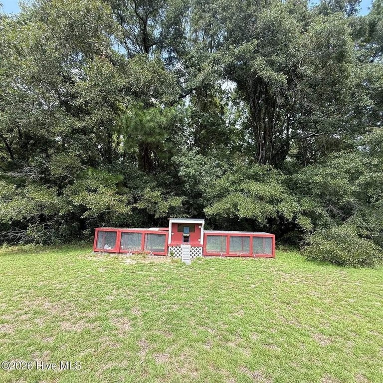 Picture 6