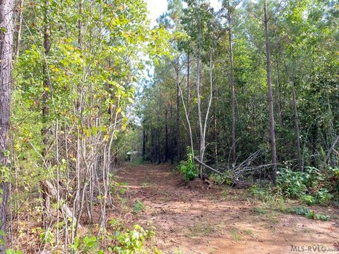 Wooded Hunting Land with Cabin