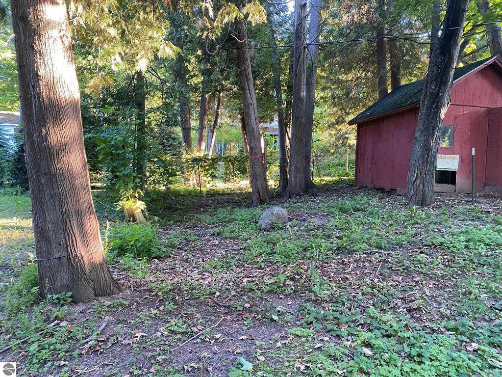 Picture 4