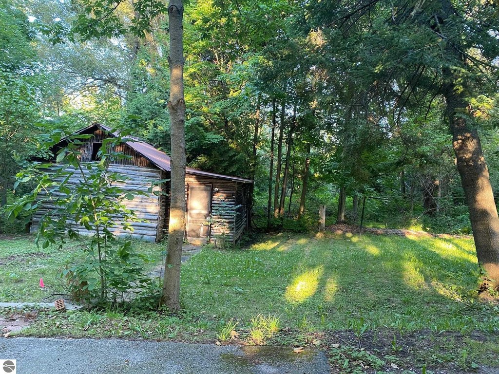 Picture 8