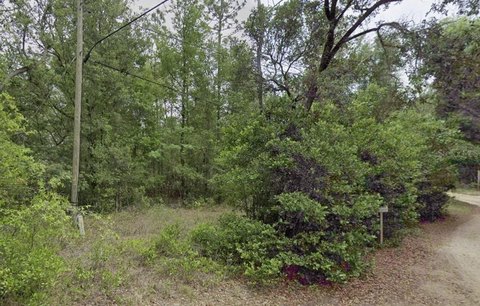 Wooded Residential Lot Opportunity