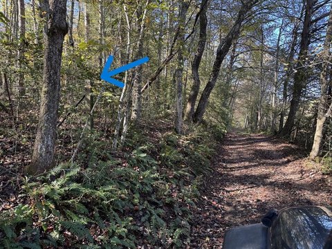 5.7 Acres in Blue Ridge