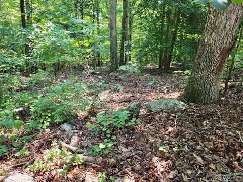 Residential Lot Near Lake Gaston
