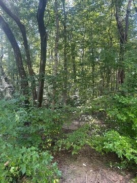 Land, Rising Fawn, GA
