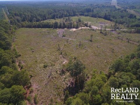 Land, Marion, LA