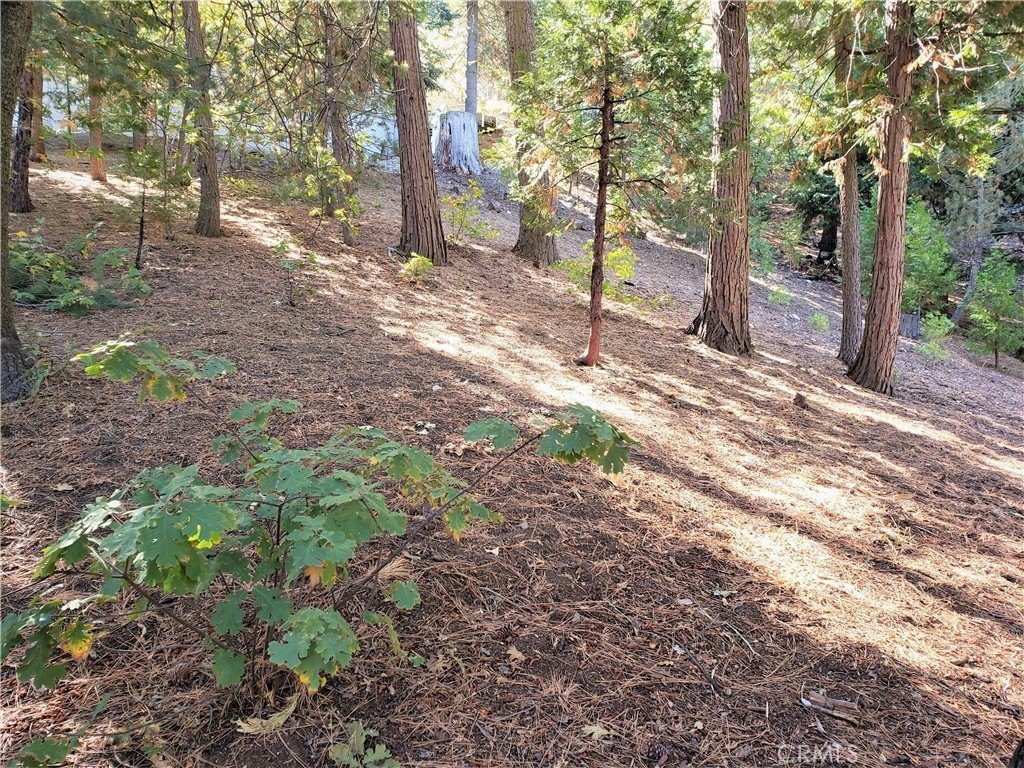 Picture 8