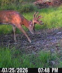 Ready-to-Hunt Hunting and Recreation Land