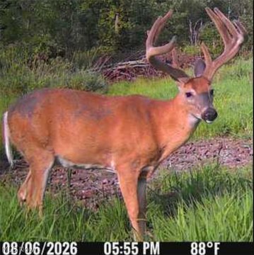 Hunting Land with Creek