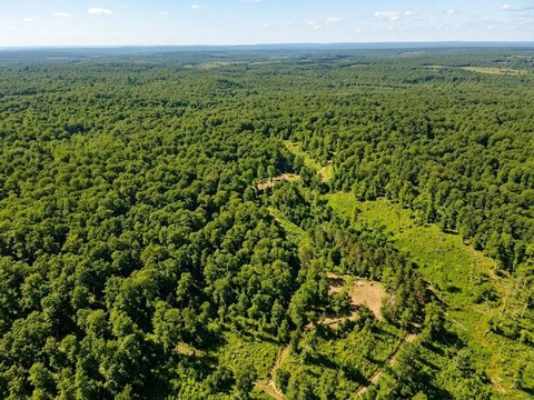 Wooded Hunting Land
