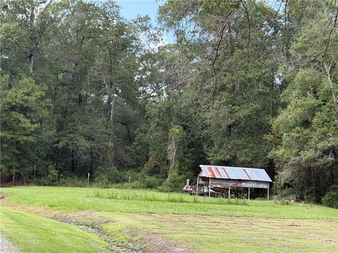 Land, Ponchatoula, LA