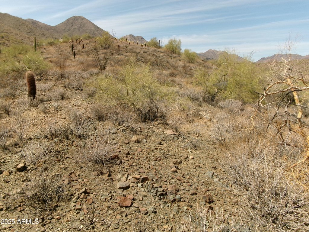 Picture 7