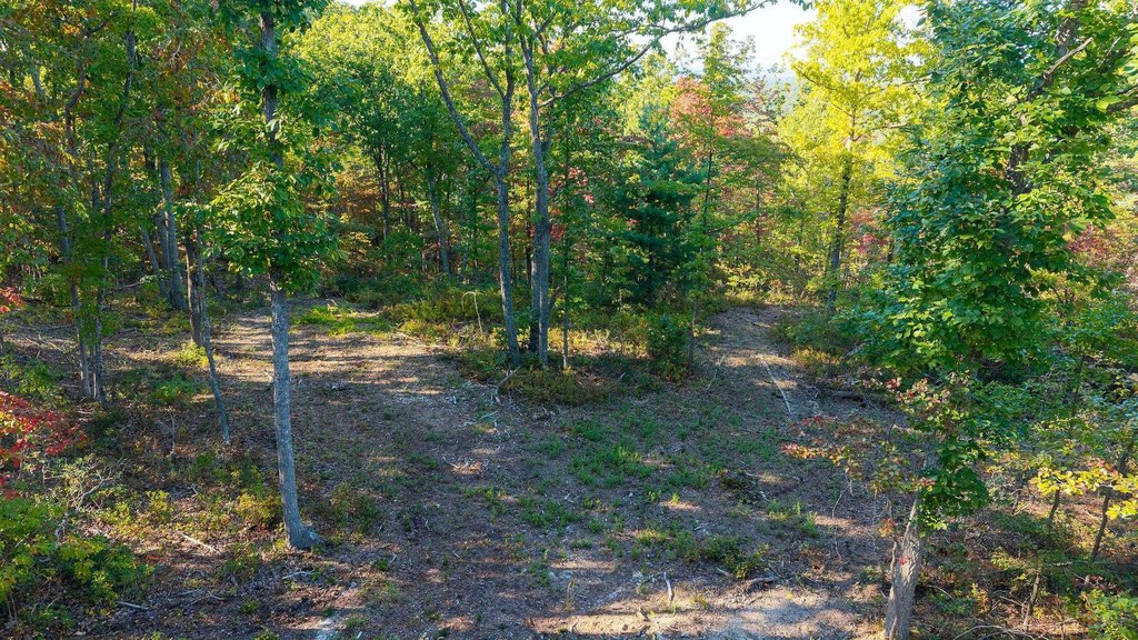 Picture 40