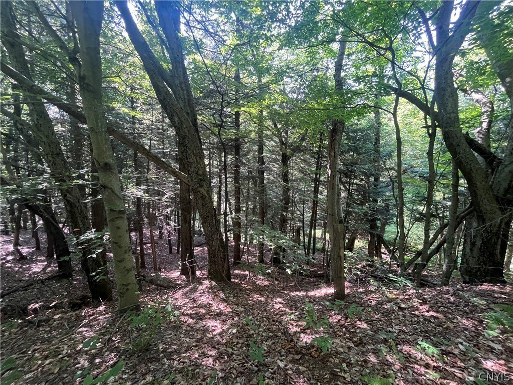 Picture 21