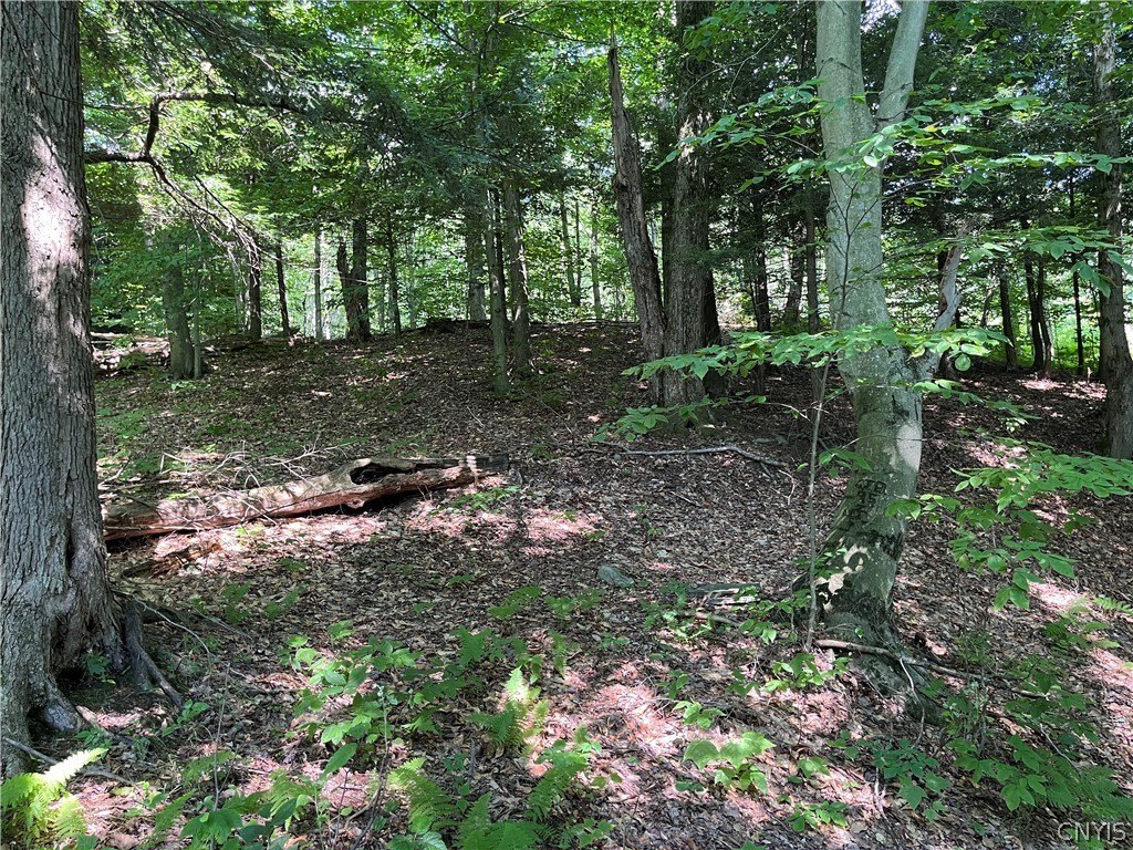 Picture 8