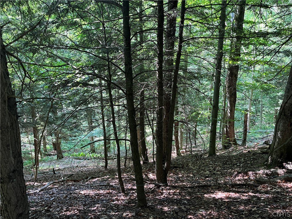 Picture 19