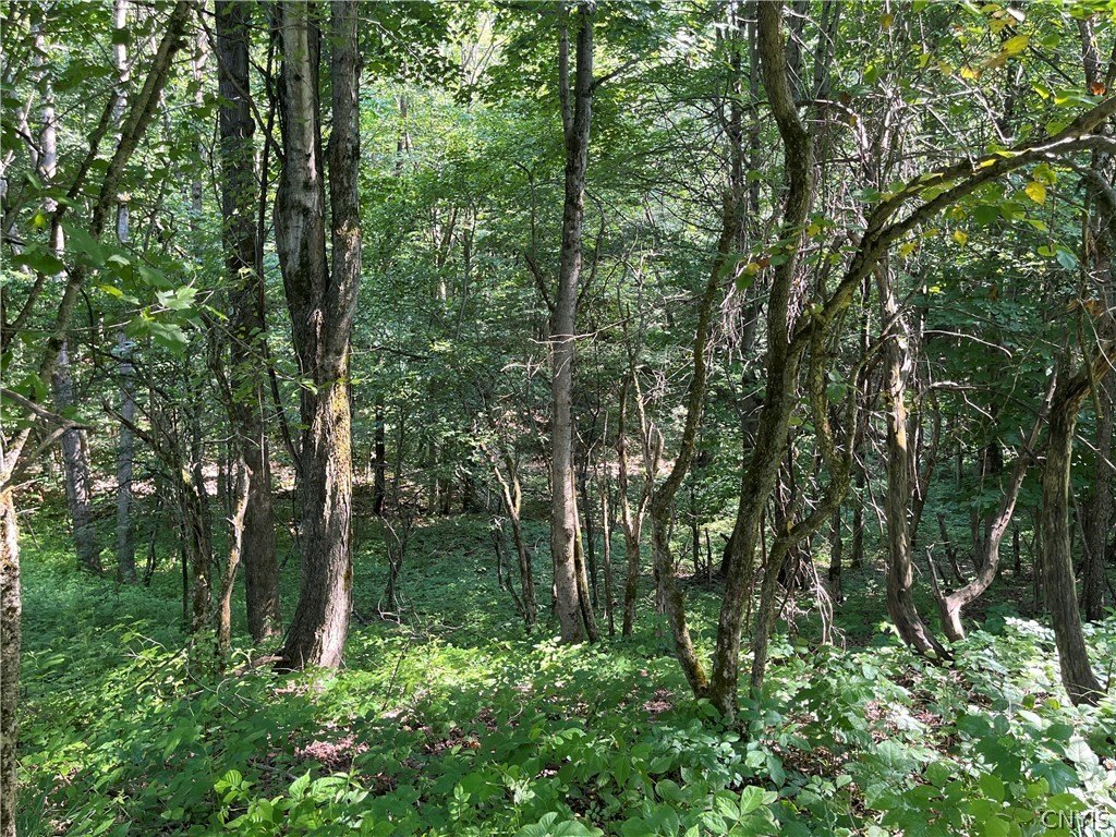 Picture 18