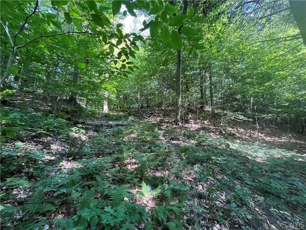 Picture 13