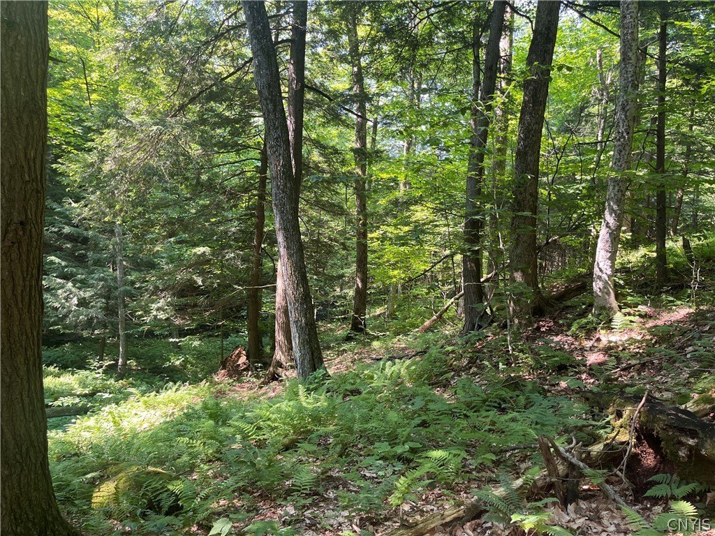Picture 12
