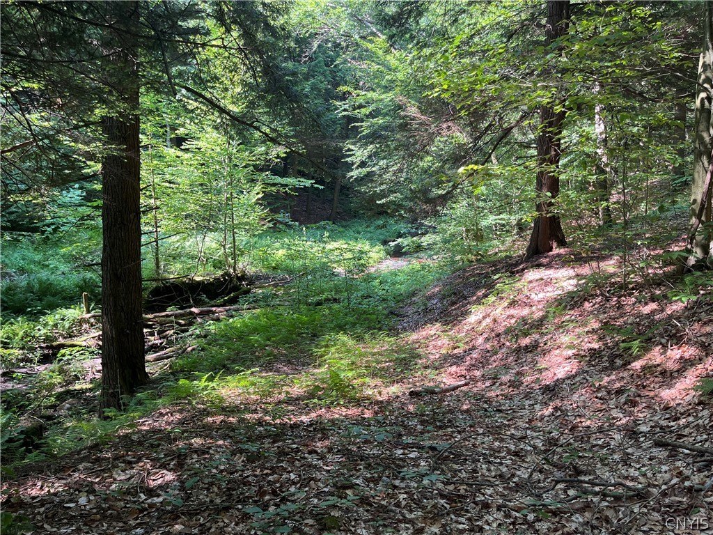 Picture 22