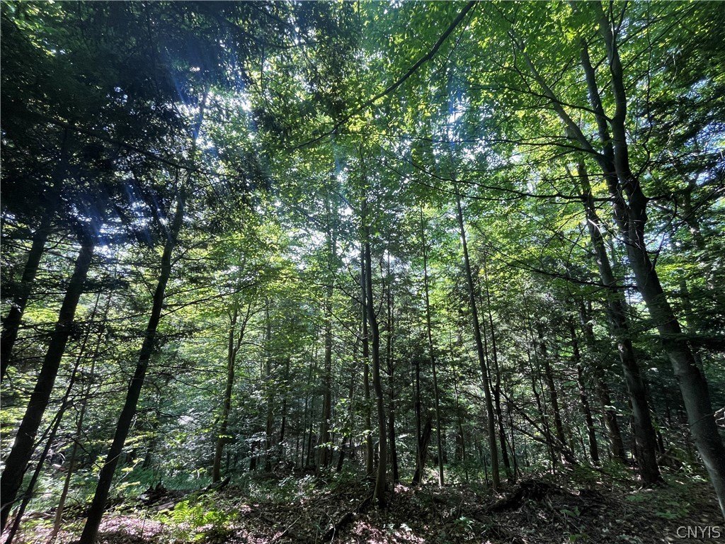 Picture 30
