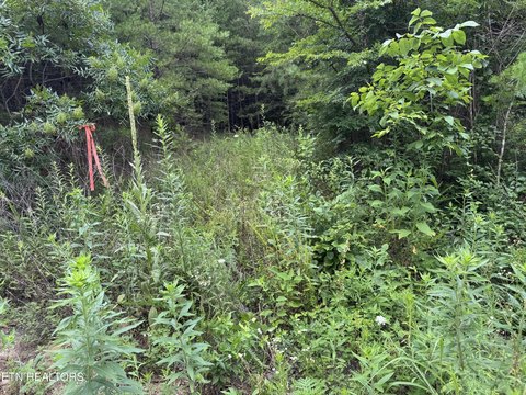 LAND - Bean Station, TN