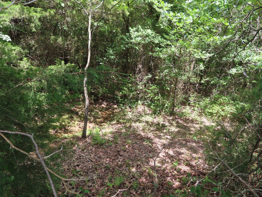 Picture 9