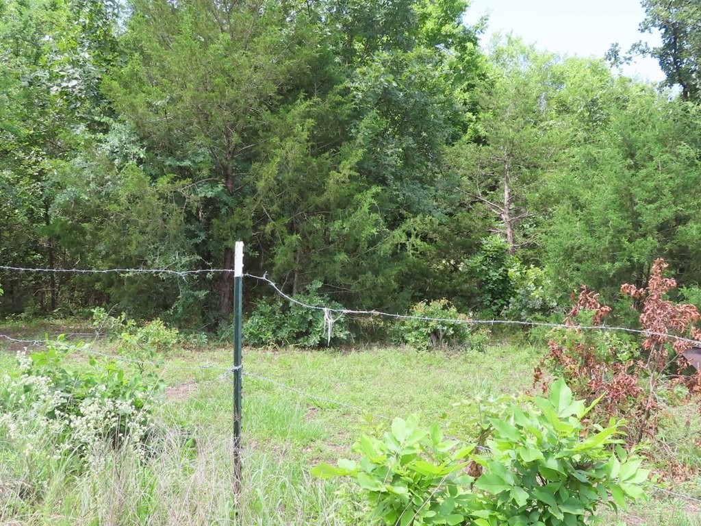Picture 5