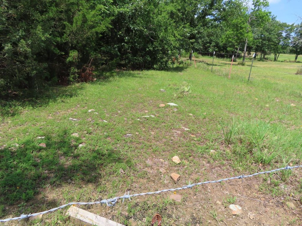 Picture 11