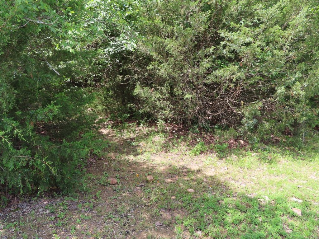 Picture 10