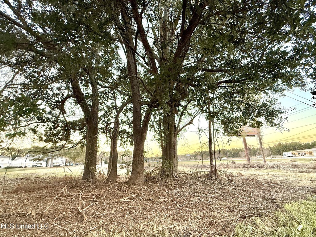 Picture 27