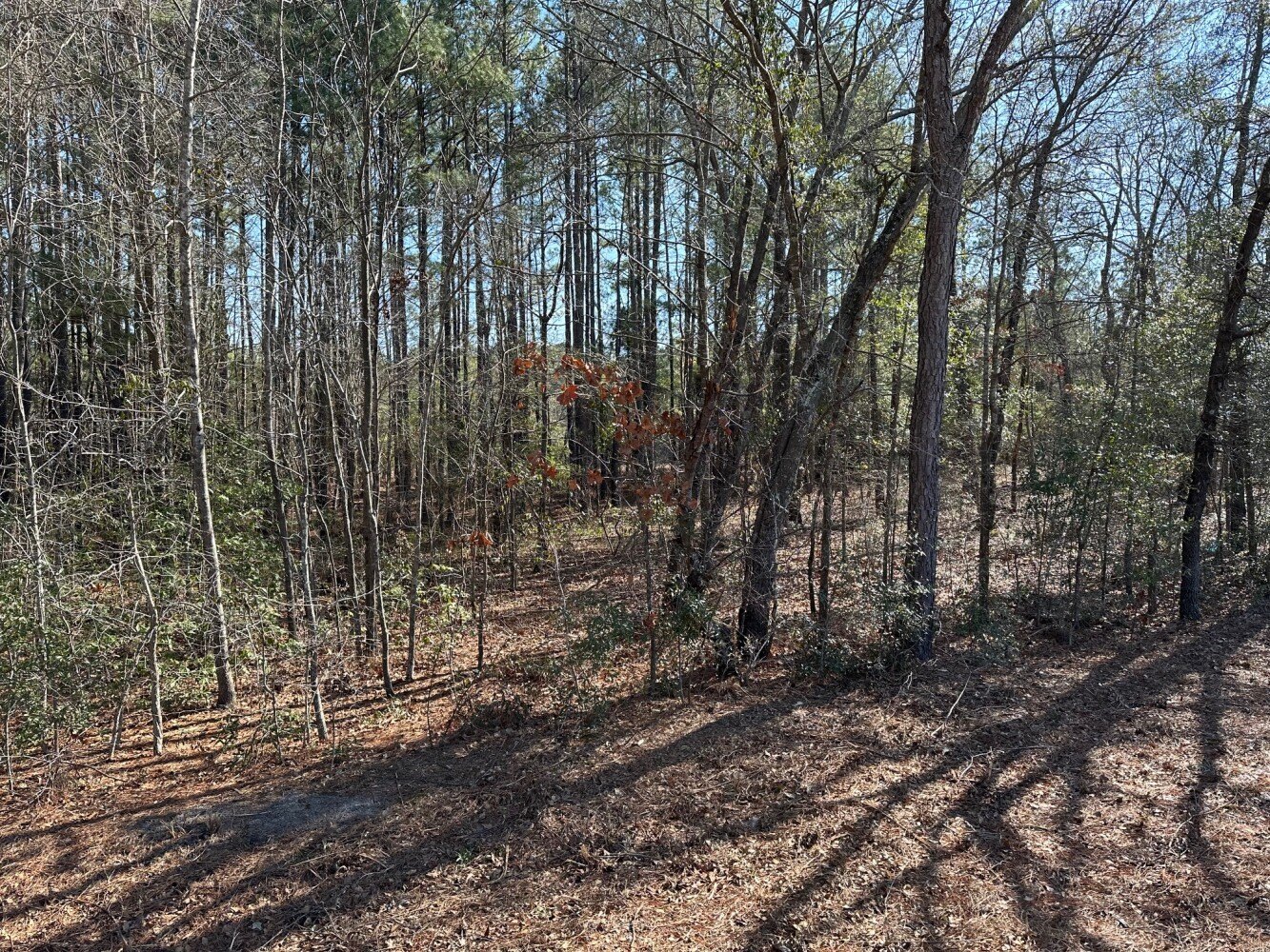 Red Springs Wooded Residential Lot
