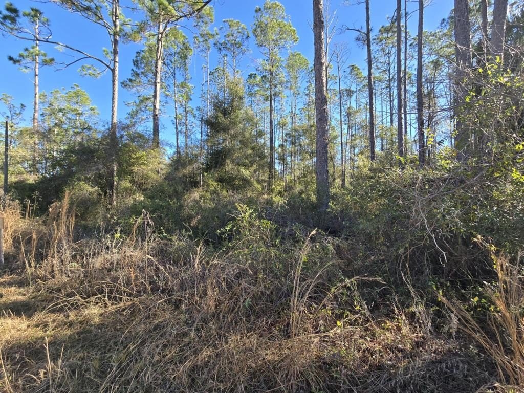 3 Acres Corner Lot Land