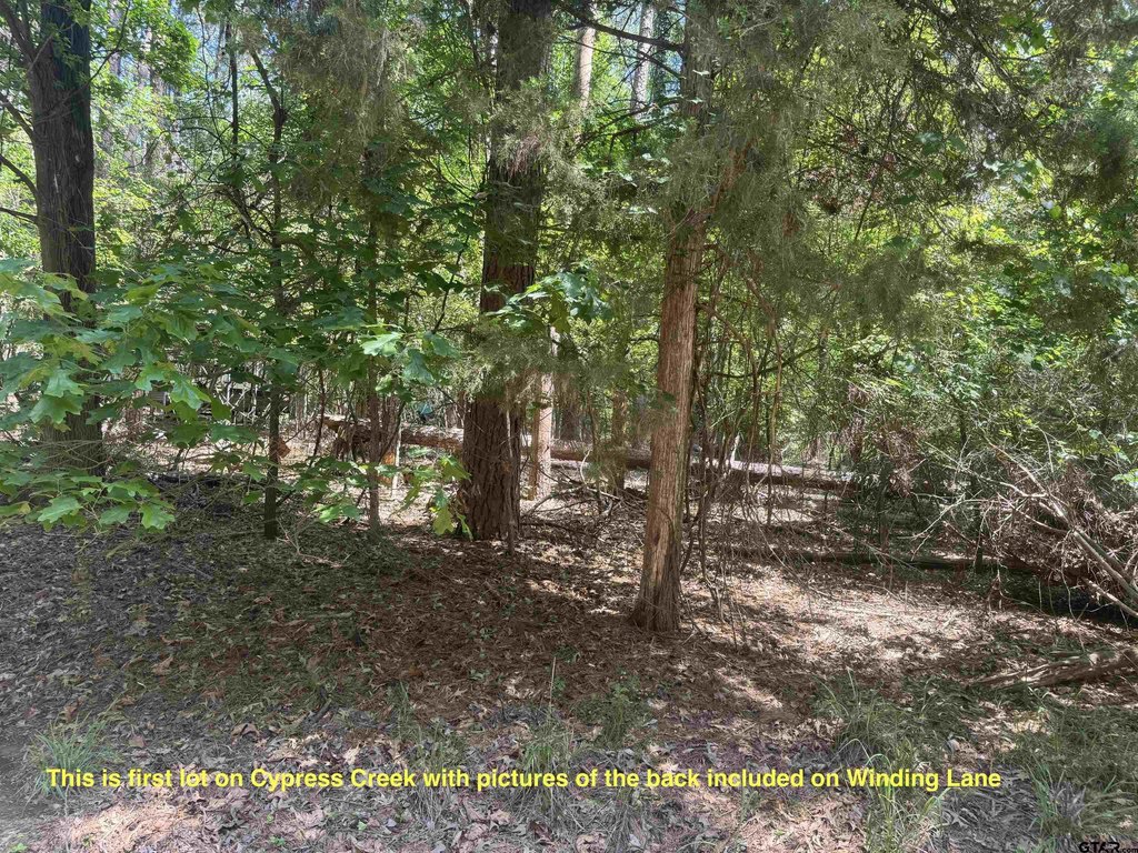 Picture 6