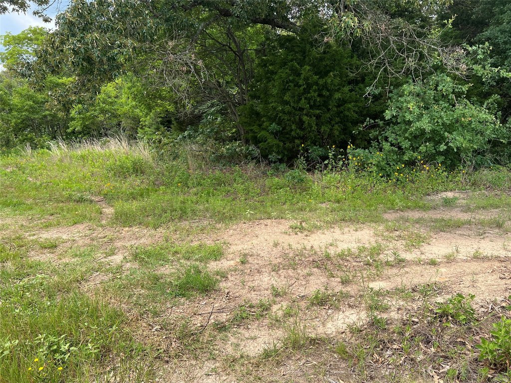 Picture 19