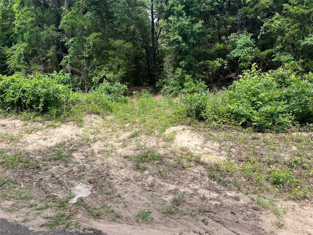 Picture 14