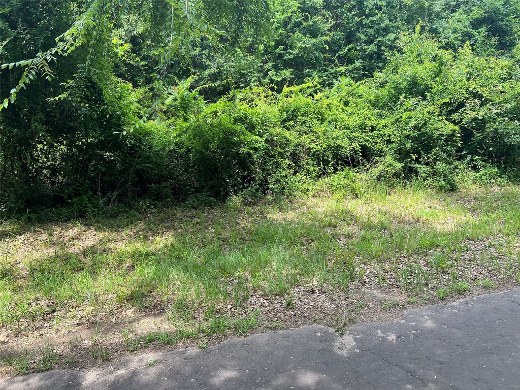 Picture 15