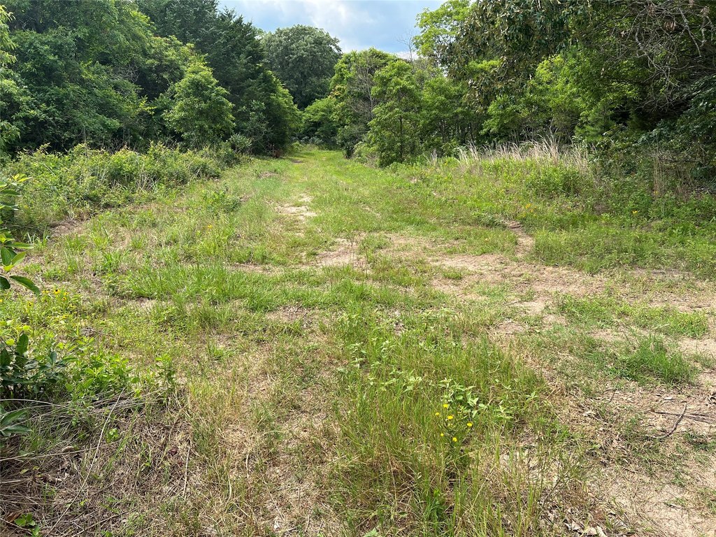 Picture 18