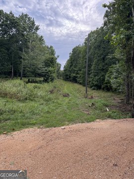 Land Near McLemore Golf Resort