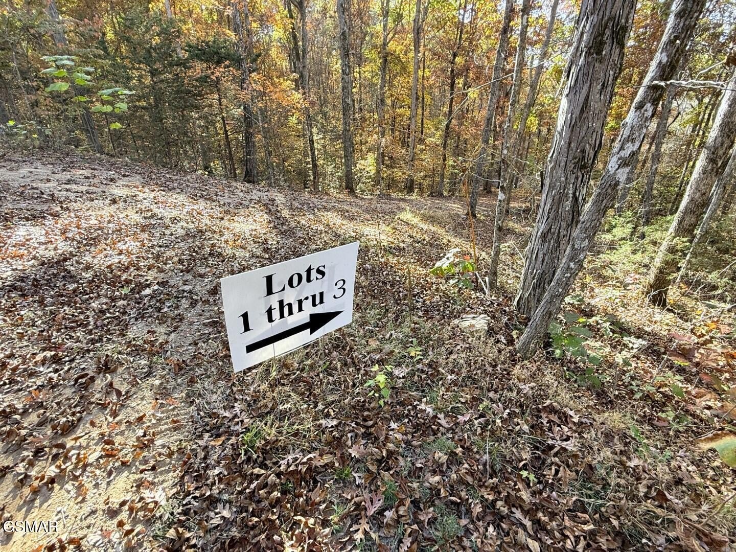 Parrottsville Land for Homesteading