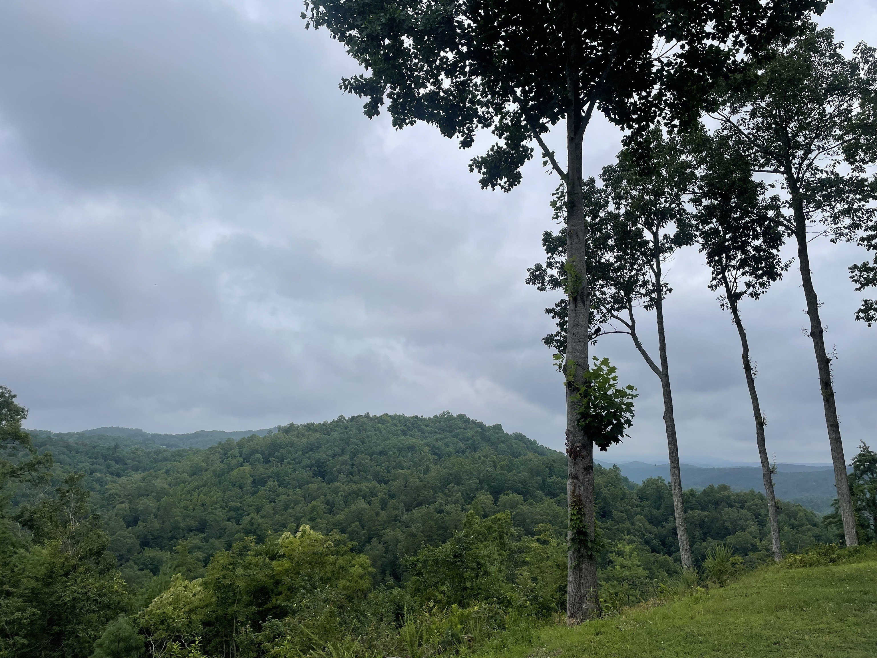Ranger, GA Land For Sale