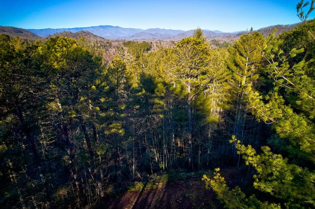 Land in Bryson City, NC