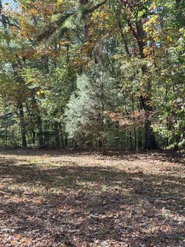 Gaffney Land for Custom Build
