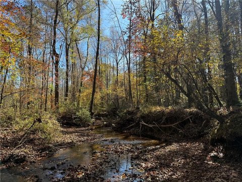 Opelika Acreage with Creek Frontage