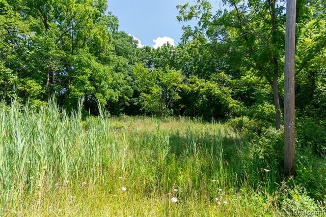 Residential Land in Romulus, MI