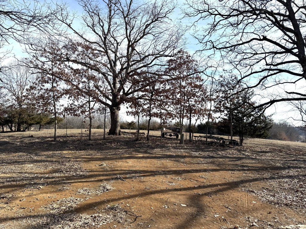 Picture 21