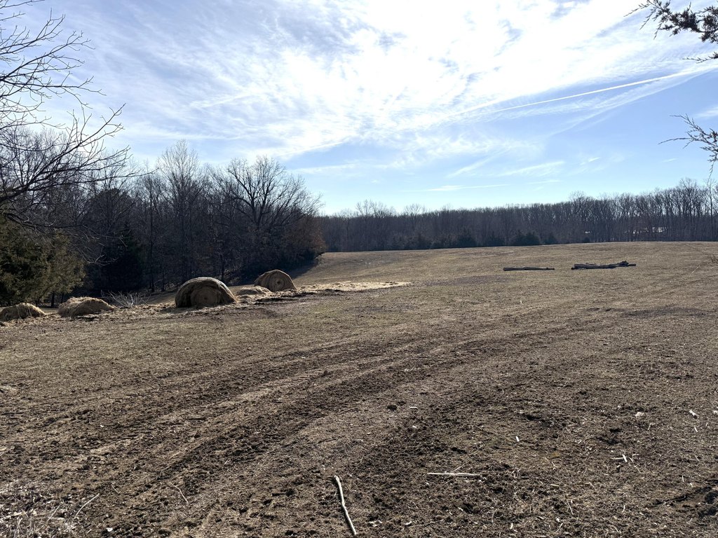 Picture 17